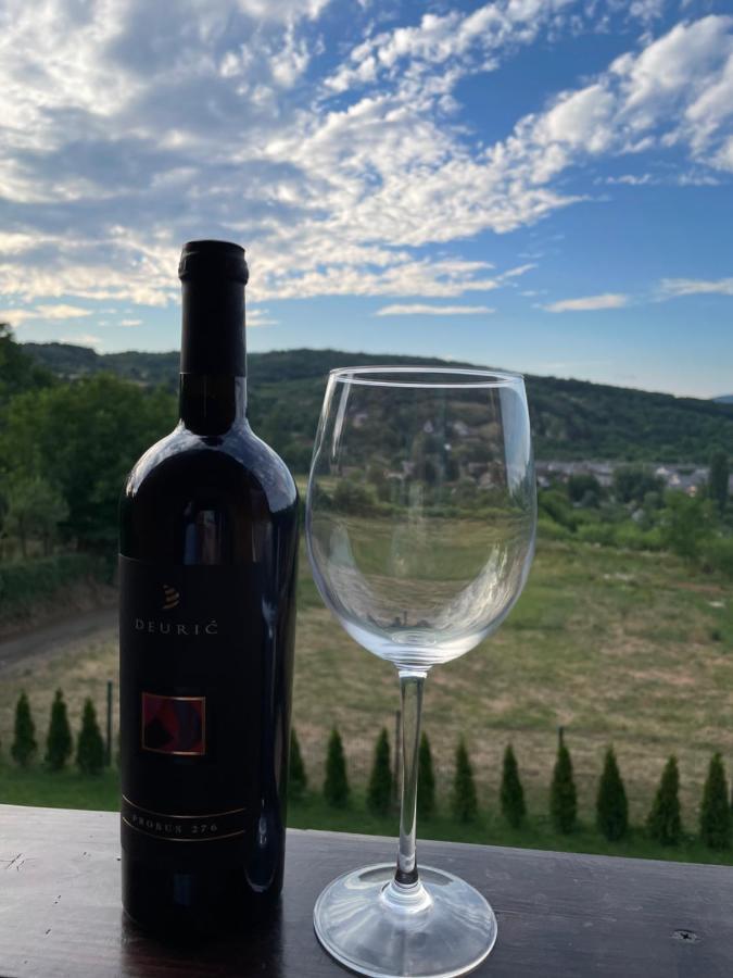 Vila Grujic Vrdnik Dış mekan fotoğraf